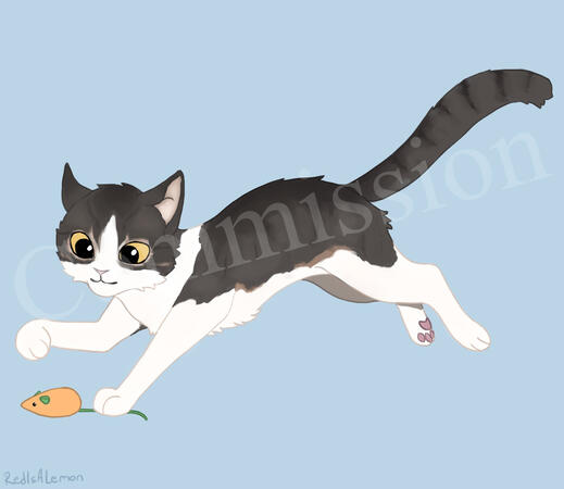 Commission from 2023